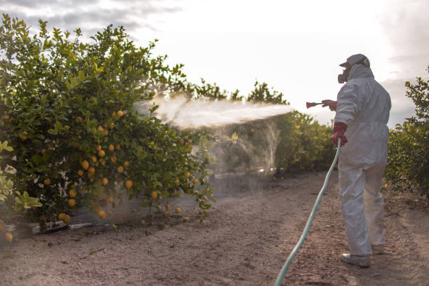 Pest Control for Warehouses in Norwood, OH